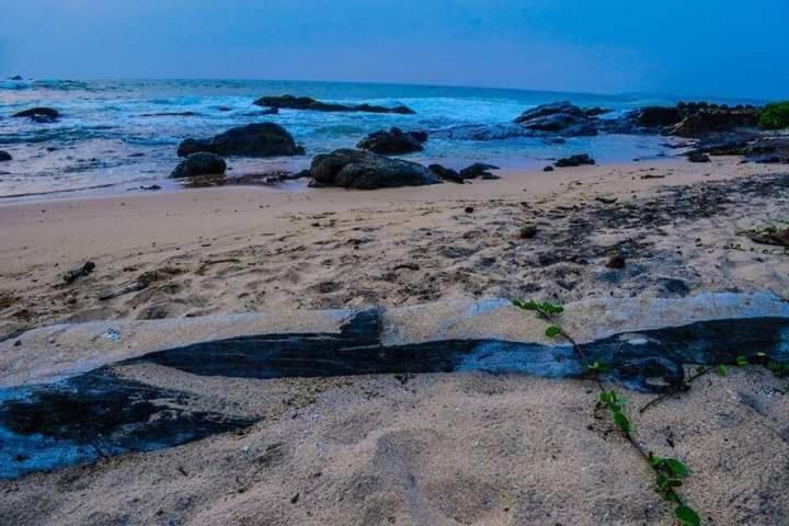 Sunset Cabana Galle Bagian luar foto